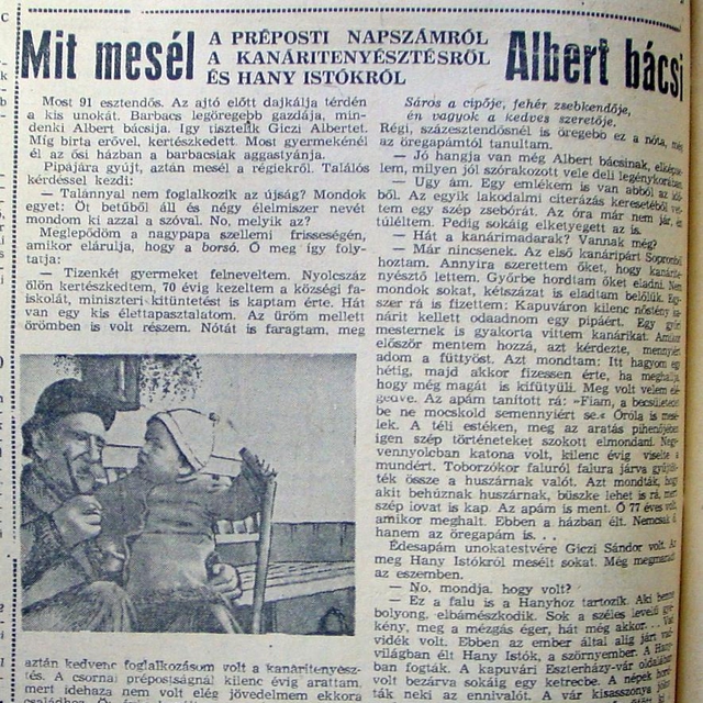 Albert bcsi