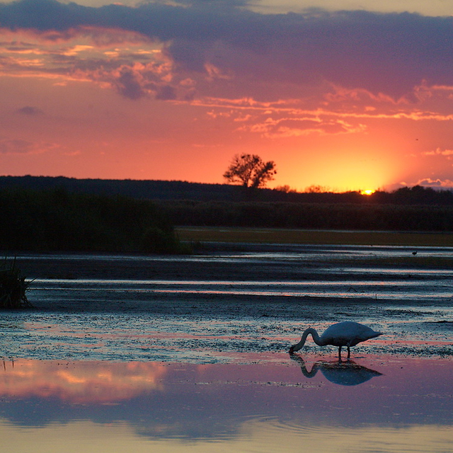 Fert Hansgi Nemzeti Park - Kapuvr