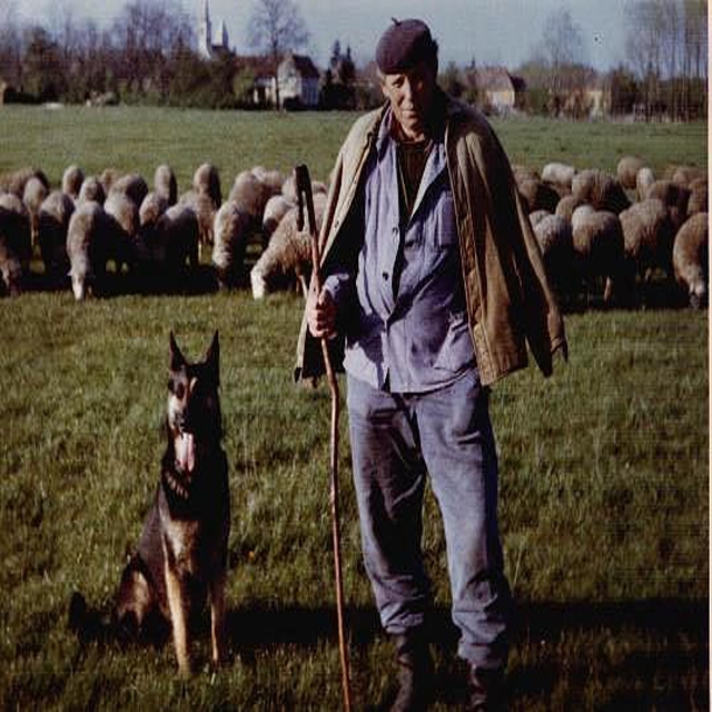 Sobori juhász kutyával és juhnyájjal 1968