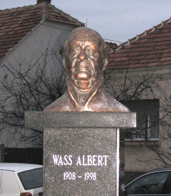Vass Albert - Kapuvár