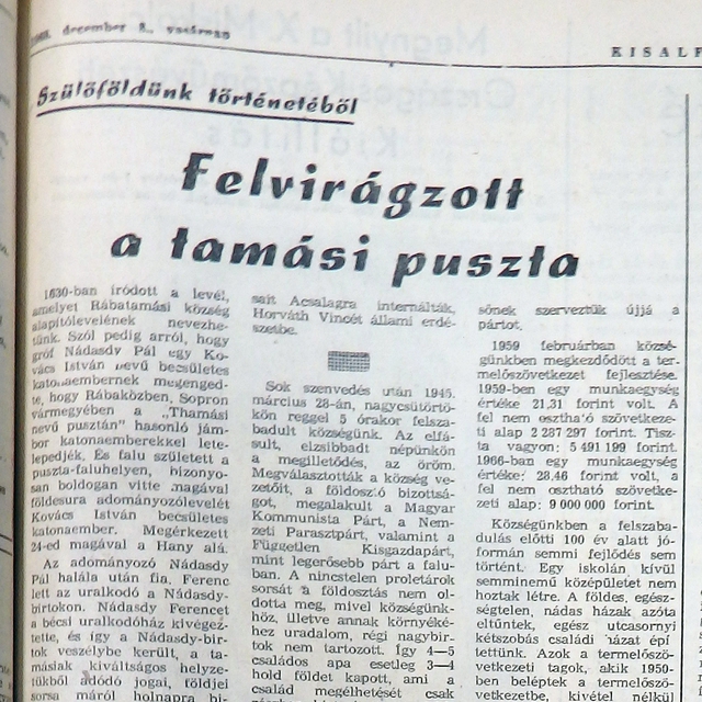 Felvirgzott a tamsi puszta