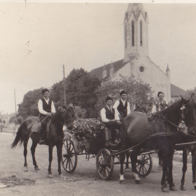 Vicai lovasbandrium Beledben az 1956-os vekben